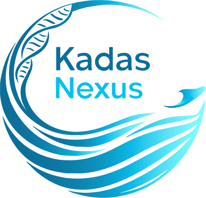 Kadas Nexus Logo